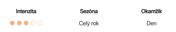 Snímek obrazovky 2026-09-12 214542
